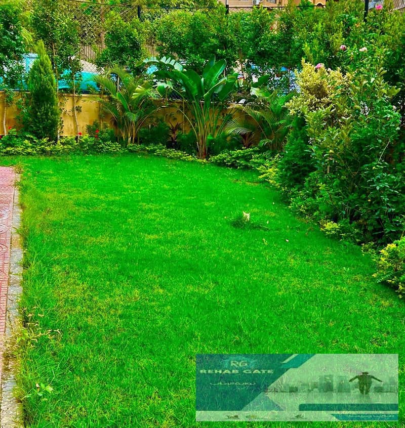 10 9ed7ea9e-d538-4a1d-b74f-ae25e8dd9dab. jpg