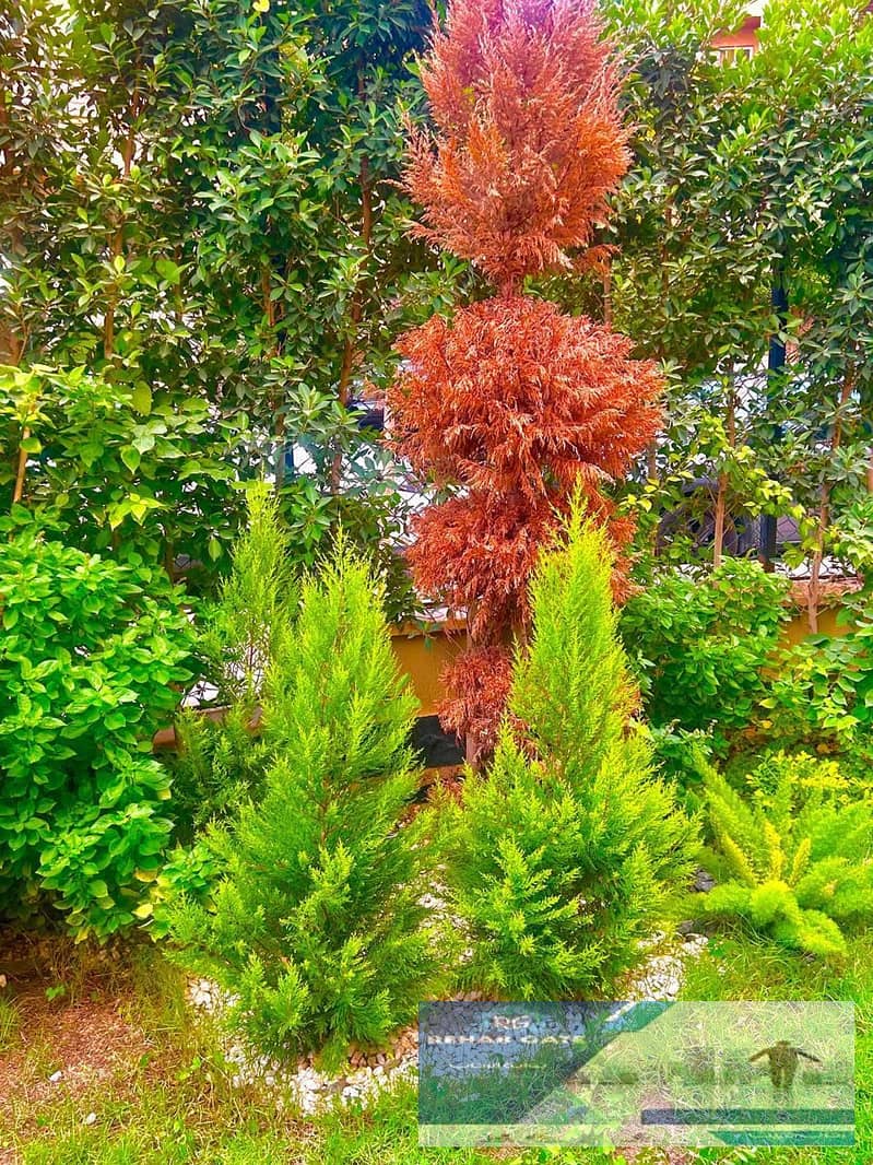 18 e4b04312-6702-4ce8-a834-4e0822a17cf5. jpg