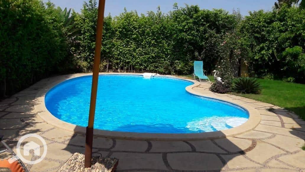 2 619390638_2430950130698762_5428778922674345520_n. jpg