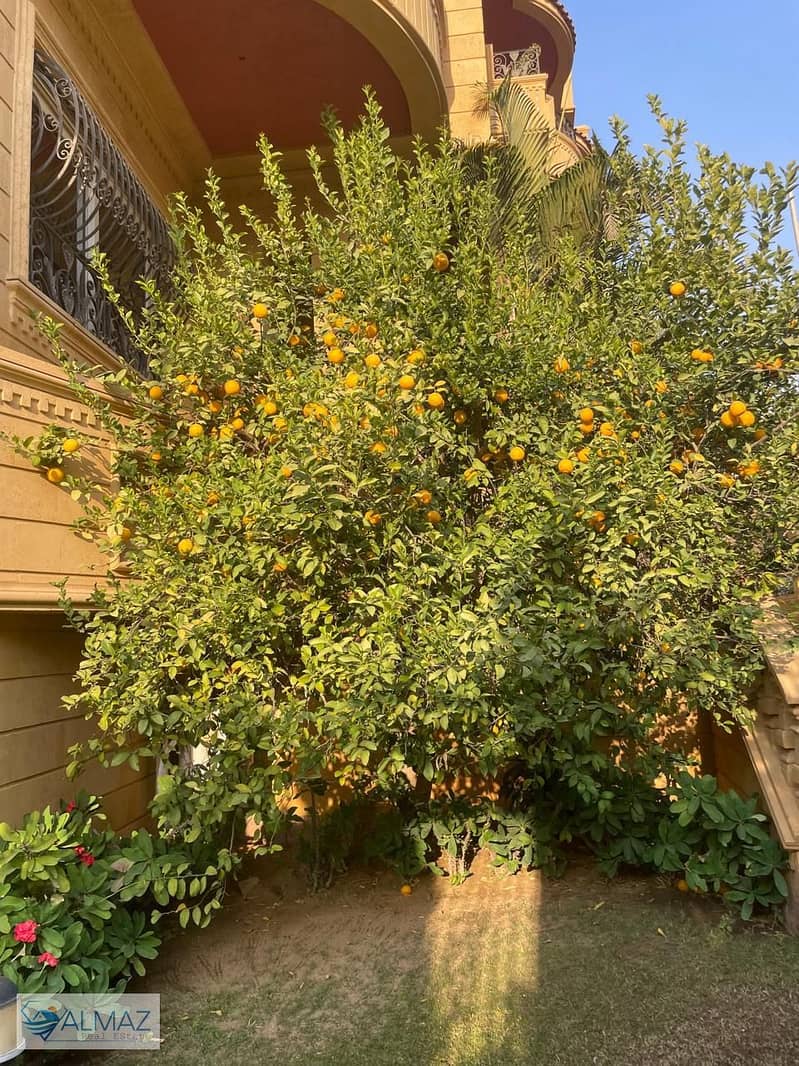 22 WhatsApp Image 2026-01-24 at 1.23. 57 PM. jpeg