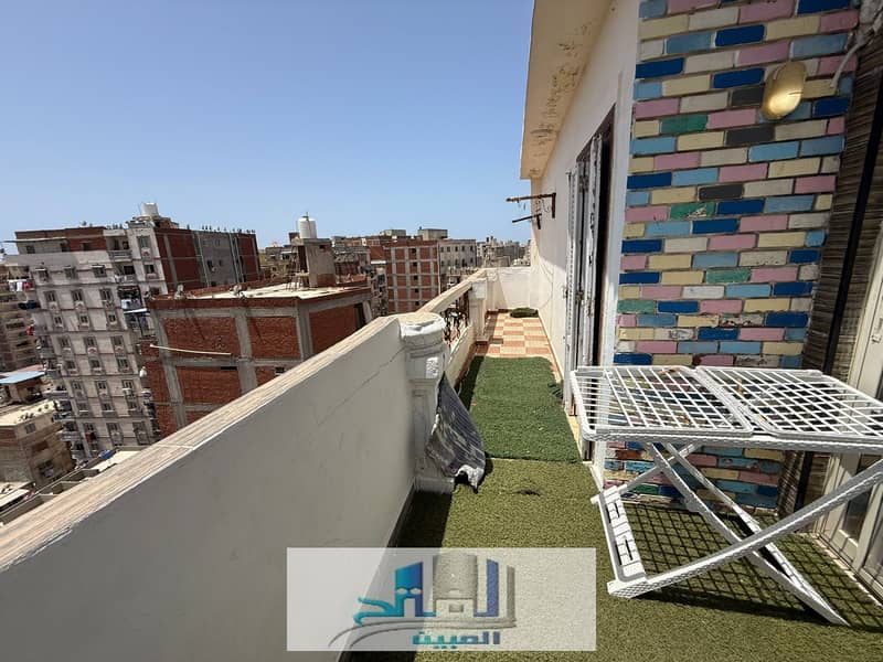 3 WhatsApp Image 226-01-24 at 11.38. 28 AM. jpeg