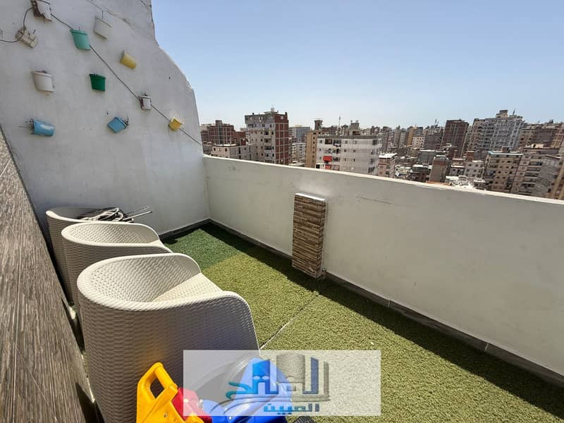 4 WhatsApp Image 2026-01-4 at 11.38. 28 AM. jpeg