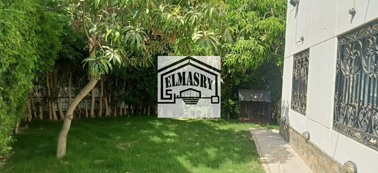 9 89d25f41-c986-4845-a498-5fcea297b165. jpg