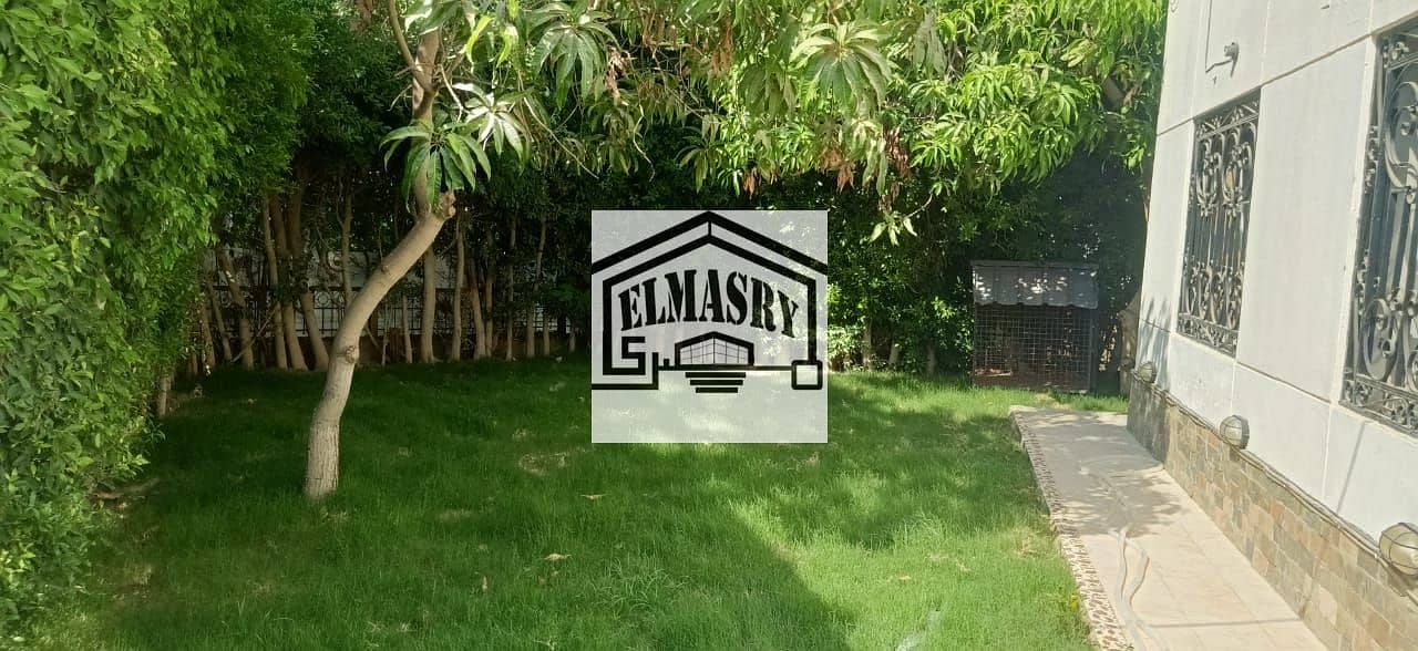 11 2da0c8ff-7378-4231-a4a2-0974f2d11238. jpg