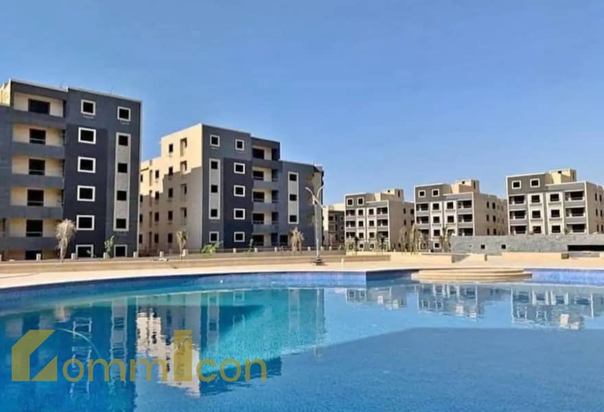 2 7840443-c537fo. jpg