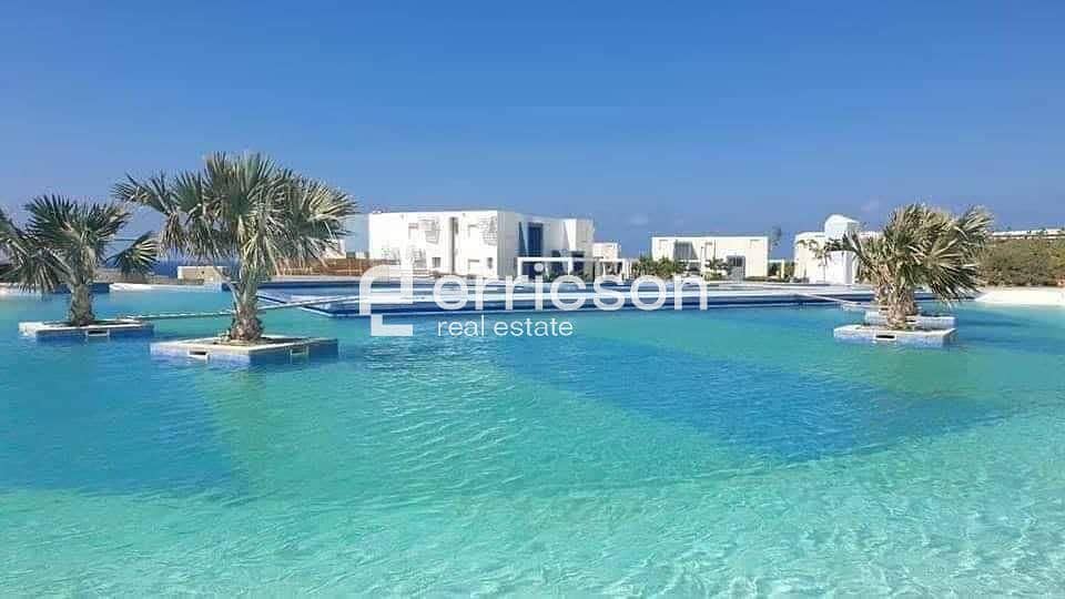 8 605531381_25630096326622561_5086573784214291693_n. jpg