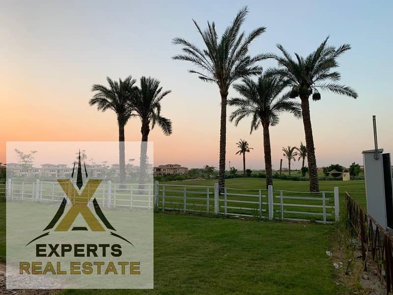 5 ae696c1b-8714-468d-86f6-5aebdba68d6f. jpg