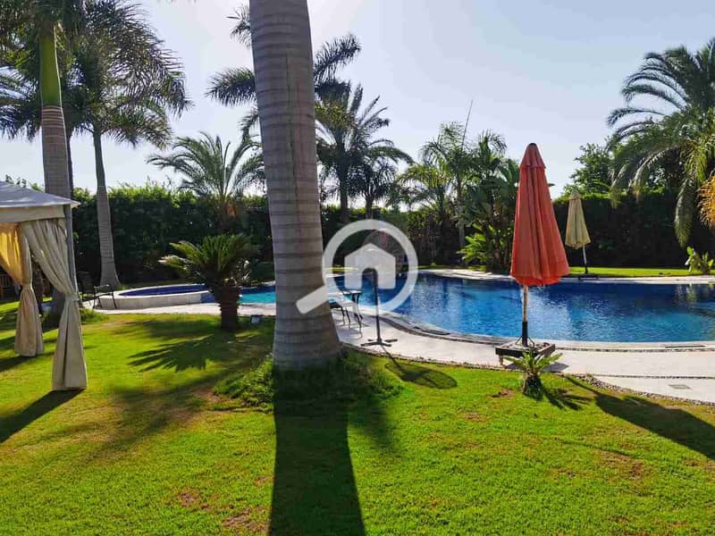 13 IMG-20230731-WA0019. jpg