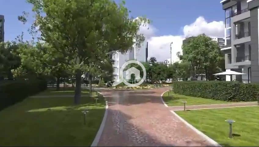 3 vlcsnap-2025-01-12-15h48m14s554. jpg