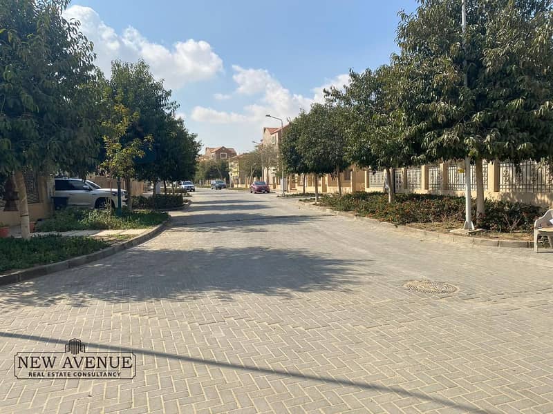 5 16069cc9-d85d-4147-b93e-6a1959b7b6f2. jpg