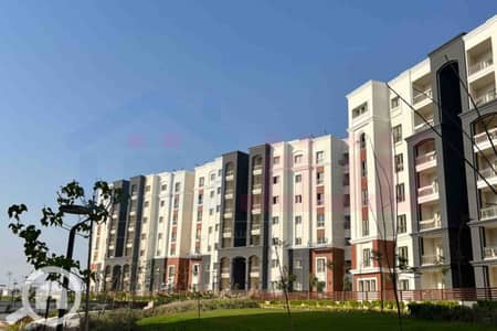 3 Bedroom Apartment for Sale in Agami, Alexandria - IMG-20251126-WA0034. jpg