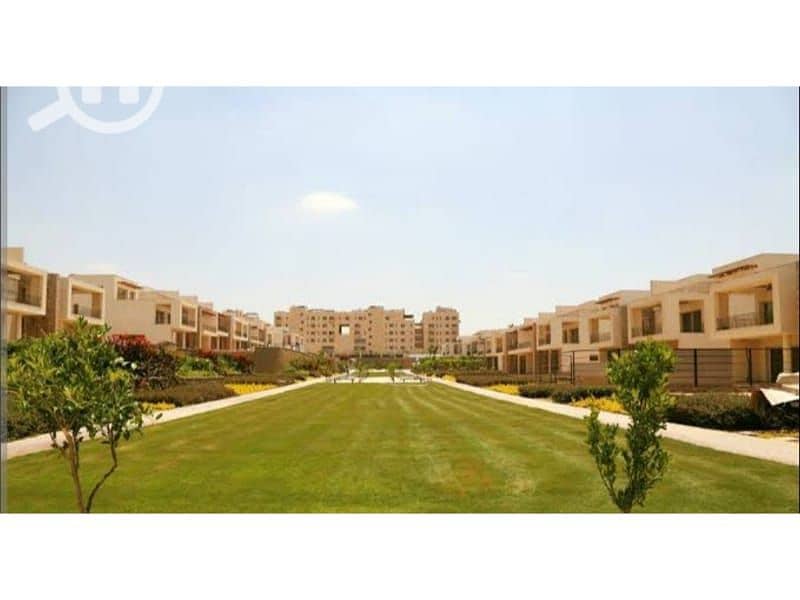 7 eb707853-6353-4ca1-8917-a541fe04c1f4. jpg