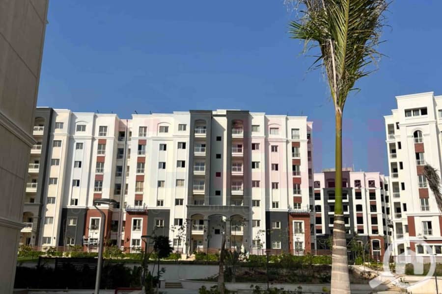 2 IMG-20251126-WA0040. jpg