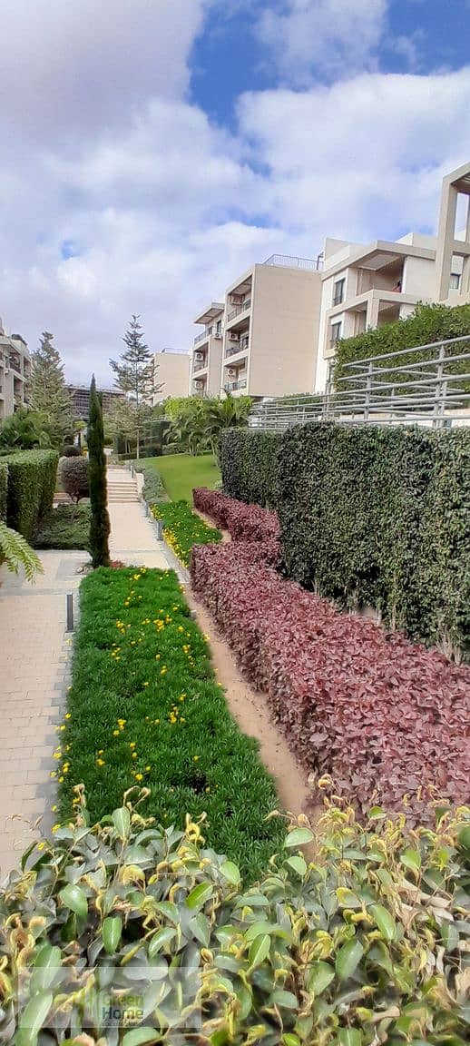 13 20251229_141242. jpg