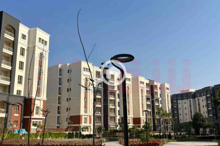 3 IMG-20251126-WA0033. jpg