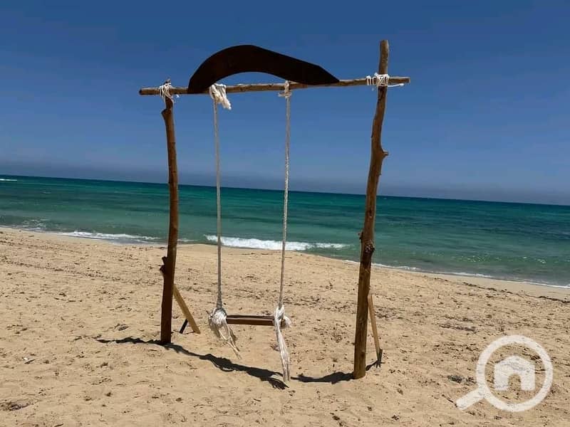 3 WhatsApp Image 2026-01-24 at 11.45. 29 AM (2). jpeg