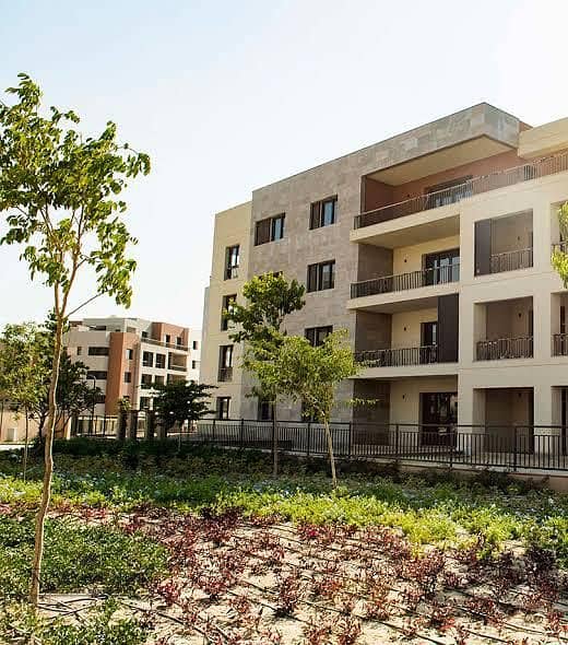 8 985202d7-cc2a-4ca7-9738-51399d31631f. jpg