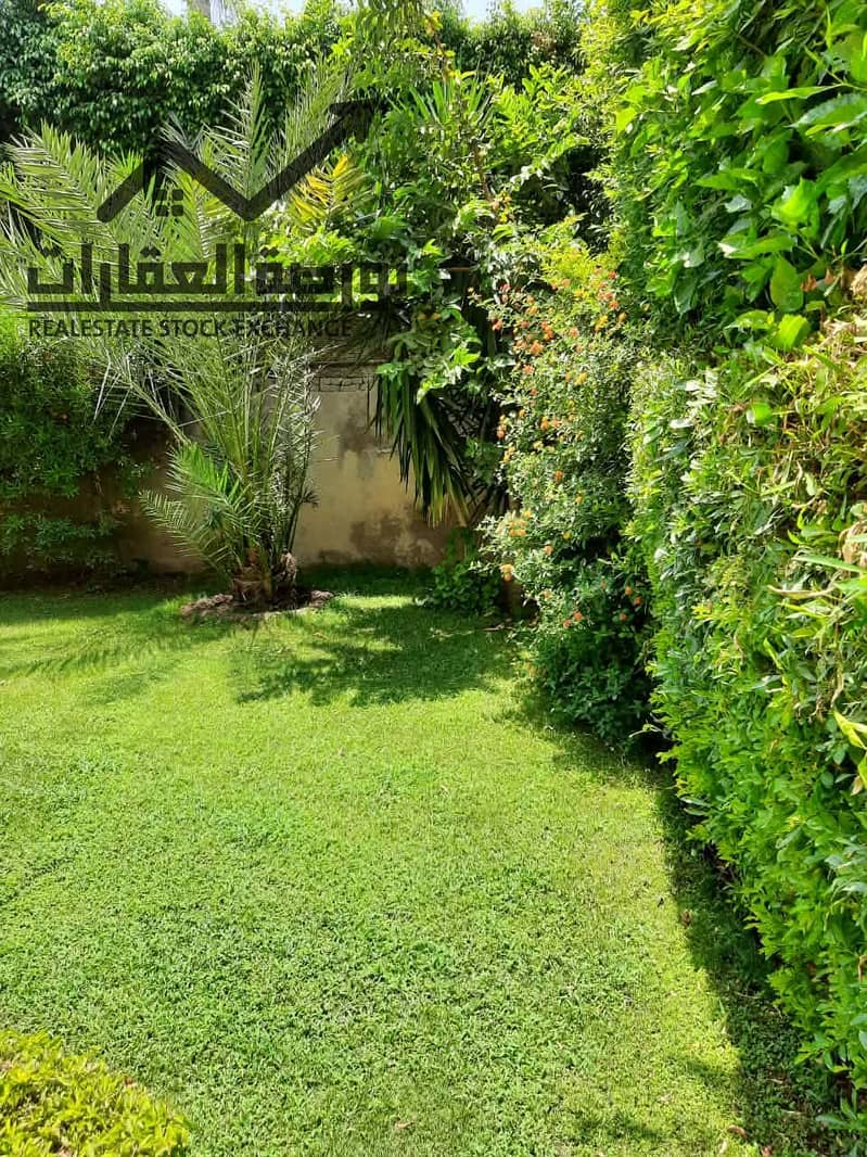 5 887a2183-a3e7-46cb-8b92-8e396ef3b95e. jpg