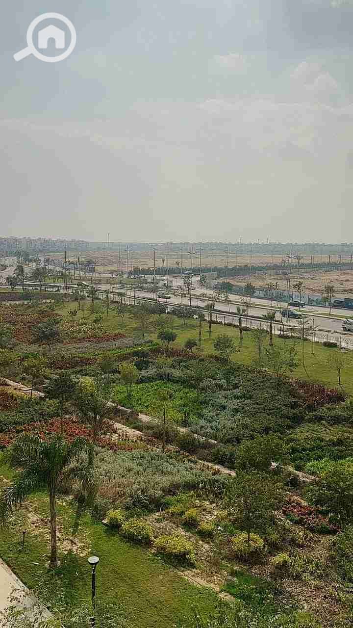 4 FB_IMG_1719491115488. jpg