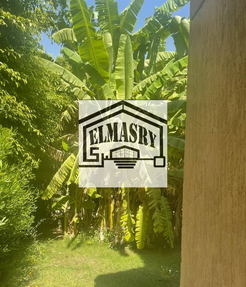 11 93020592-759b-48b0-a080-56ad7ad7b25c. jpg