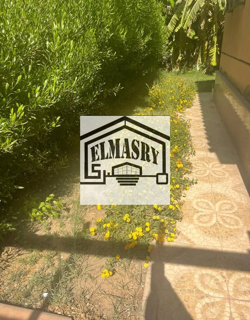 14 f19bb422-3ec3-4fe9-8ff5-ec2097ac9dcc. jpg