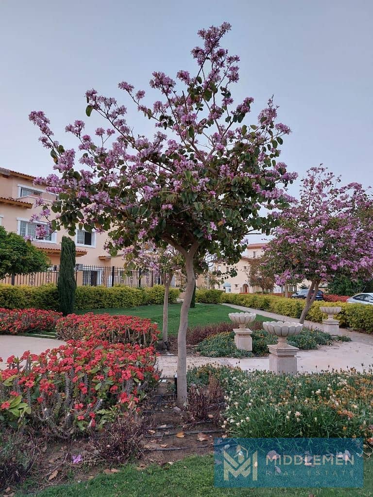 9 WhatsApp Image 2023-08-09 at 12.03. 06. jpeg