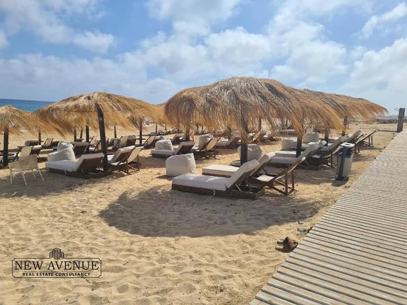 2 WhatsApp Image 2026-01-22 at 1.01. 31 PM (1). jpeg