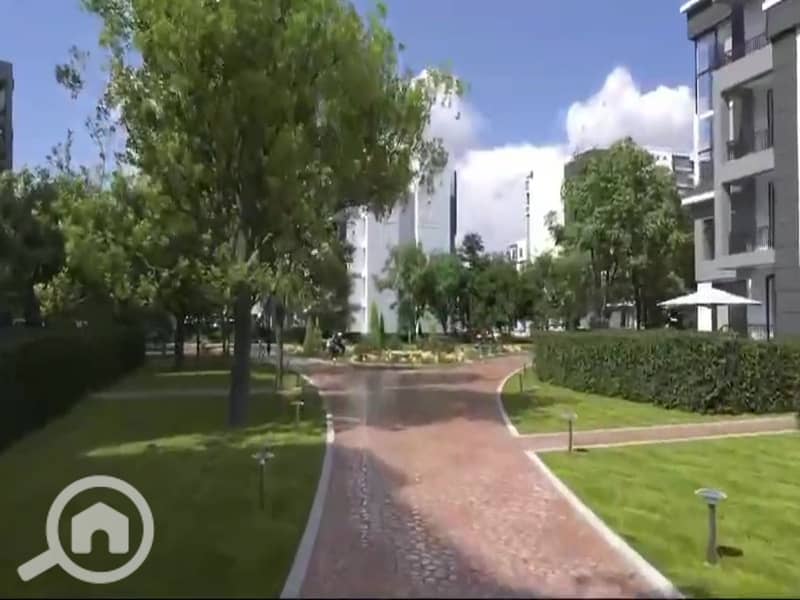 8 vlcsnap-2025-01-12-15h48m14s554. jpg