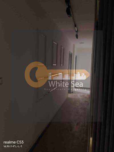 Office for Rent in Sporting, Alexandria - 1000959450. jpg Office for Rent in Sporting, Alexandria - 1000959450. jpg