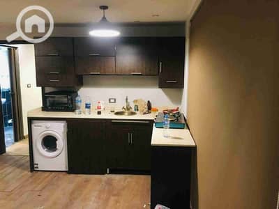 1 Bedroom Flat for Rent in Al Manial, Cairo - 174879. jpg