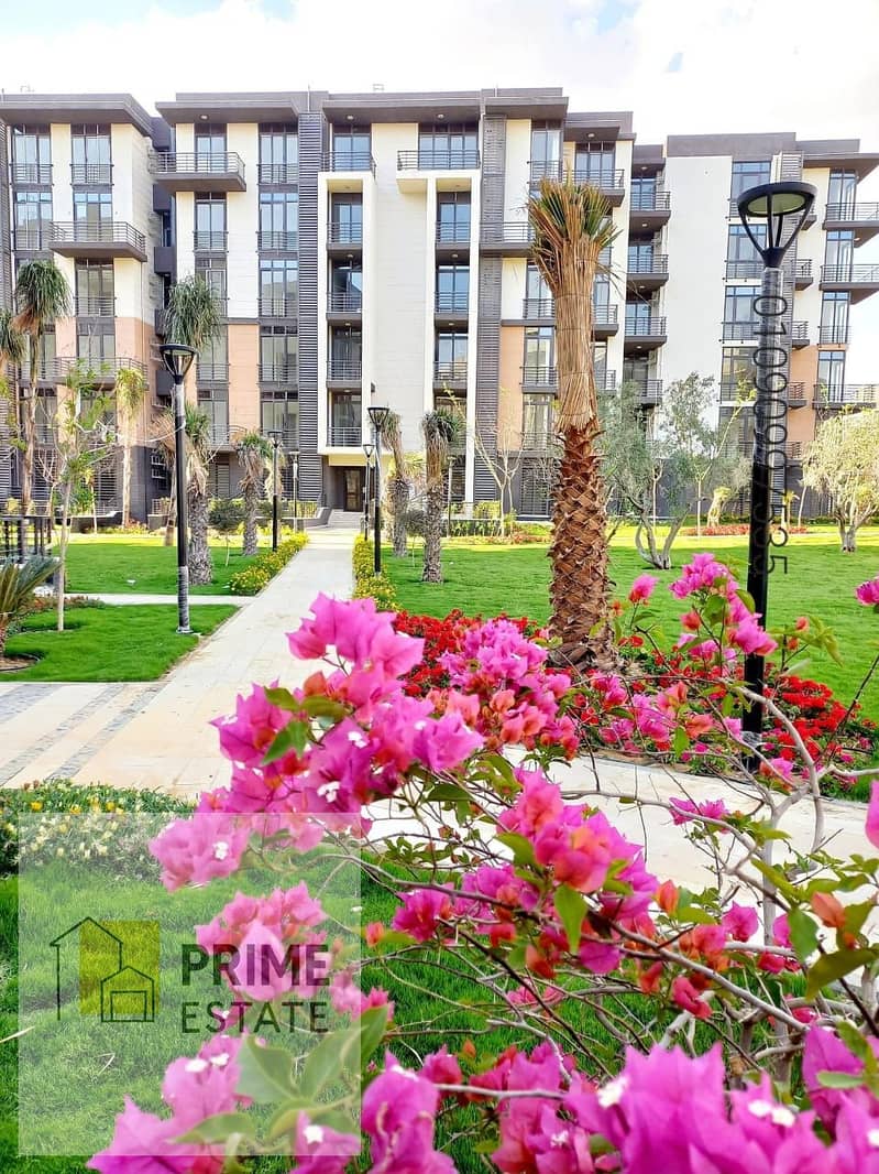 2 WhatsApp Image 2025-06-19 at 23.30. 48_6fadf055. jpg