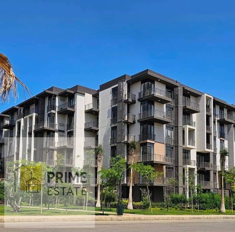 3 WhatsApp Image 2025-06-29 at 16.11. 17_adad5314. jpg