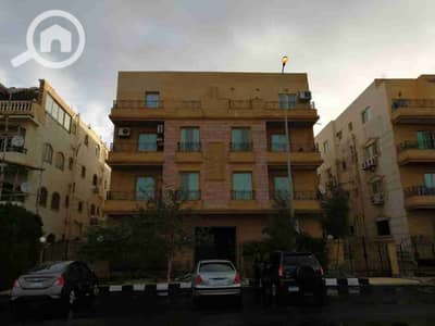 فلیٹ 3 غرف نوم للايجار في القاهرة الجديدة، القاهرة - 66946. jpg