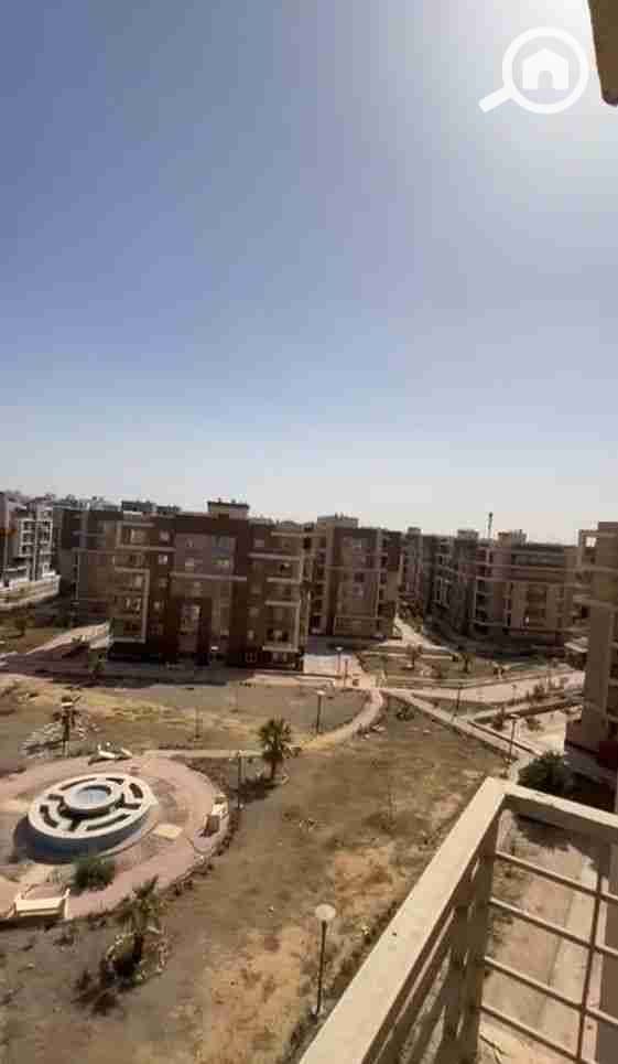 1000178295. jpg 1000178295. jpg