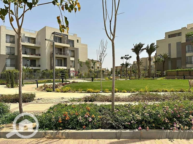 9 491764039_1802221830634262_1088185005302363059_n. jpg