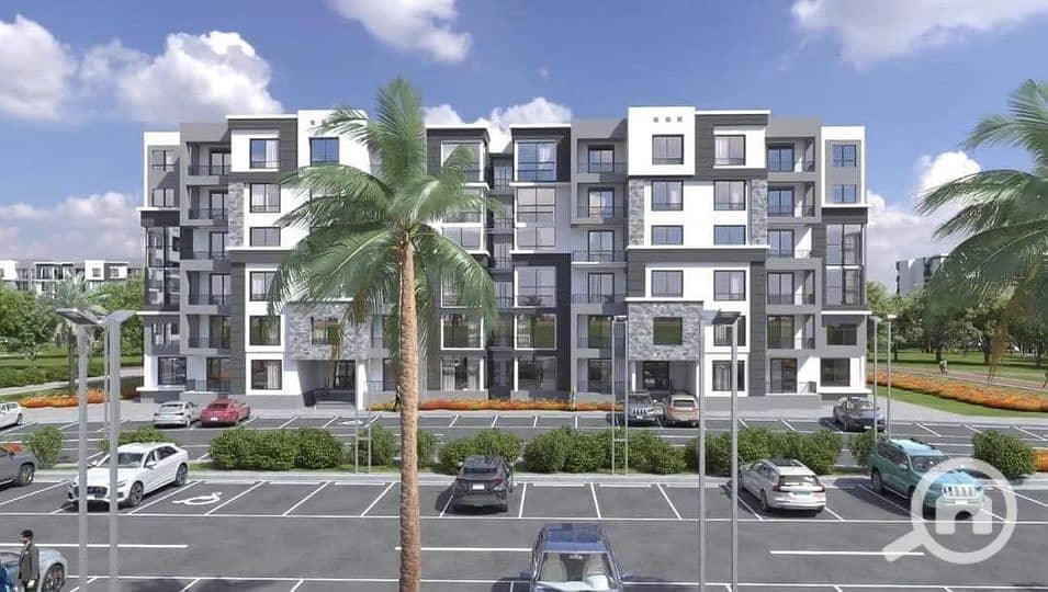 2 alessamy_449644344_415945591442390_6842634611018228894_n_37462. jpg