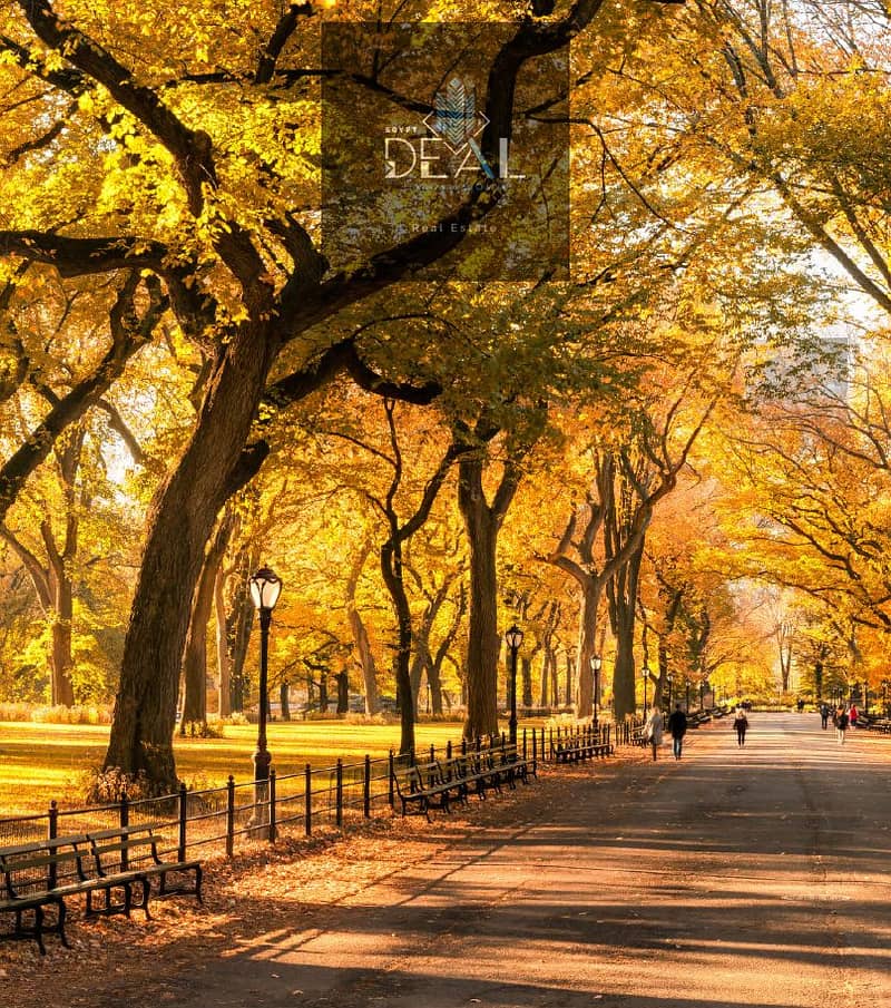 2 Screenshot 2026-01-20 155843. png