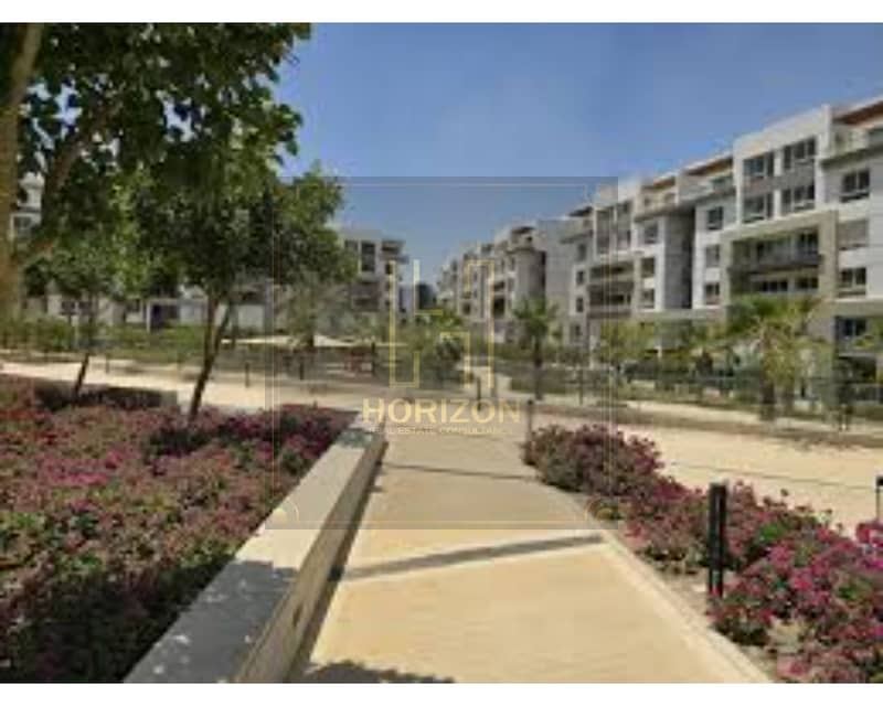 3 images (1). jfif. jpg