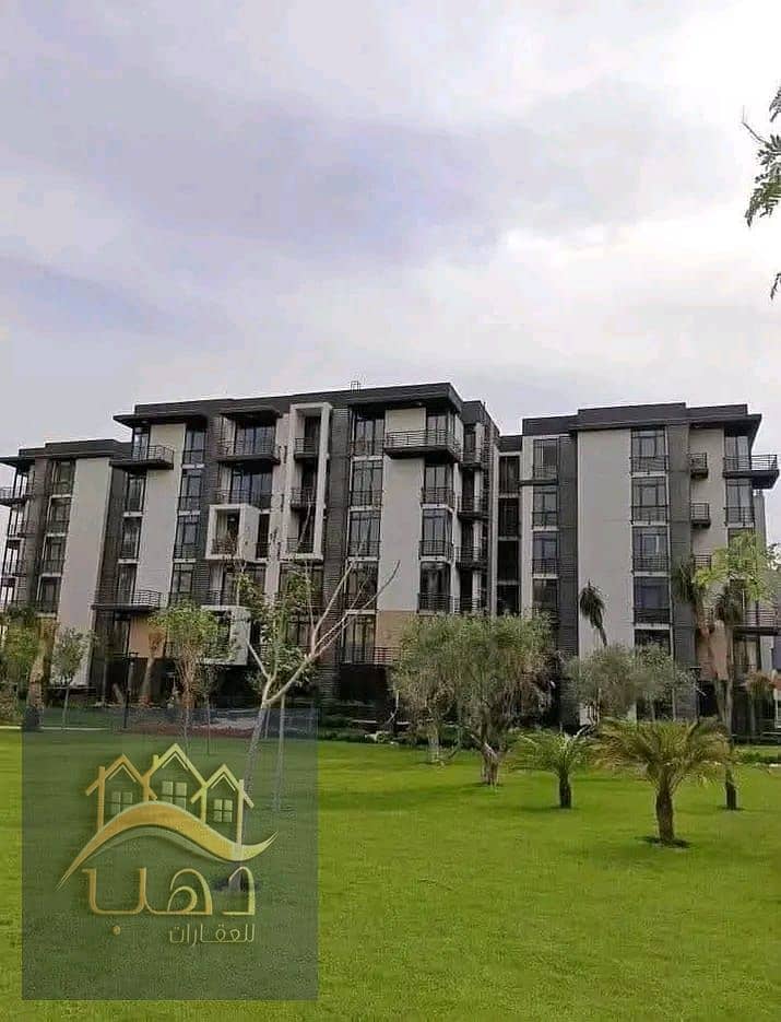 7 WhatsApp Image 2025-09-13 at 3.54. 36 PM (3). jpeg