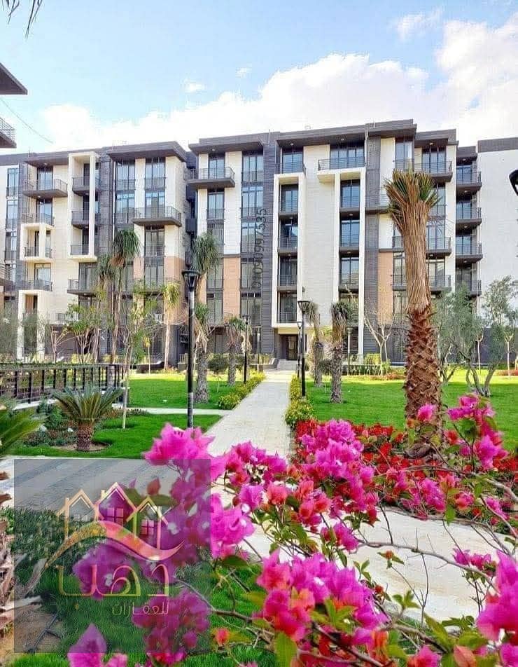 10 WhatsApp Image 2025-09-13 at 3.54. 37 PM. jpeg