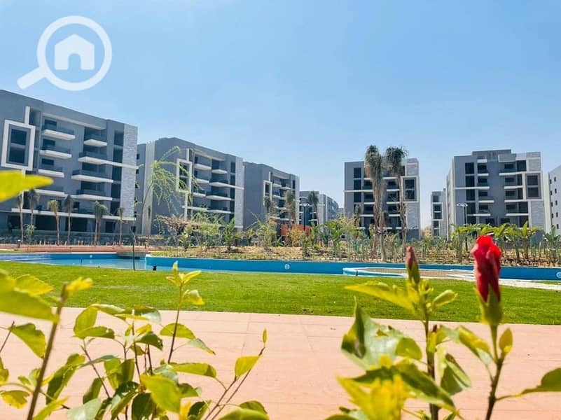 4 438094315_122174038496019313_5497968605917387670_n. jpg