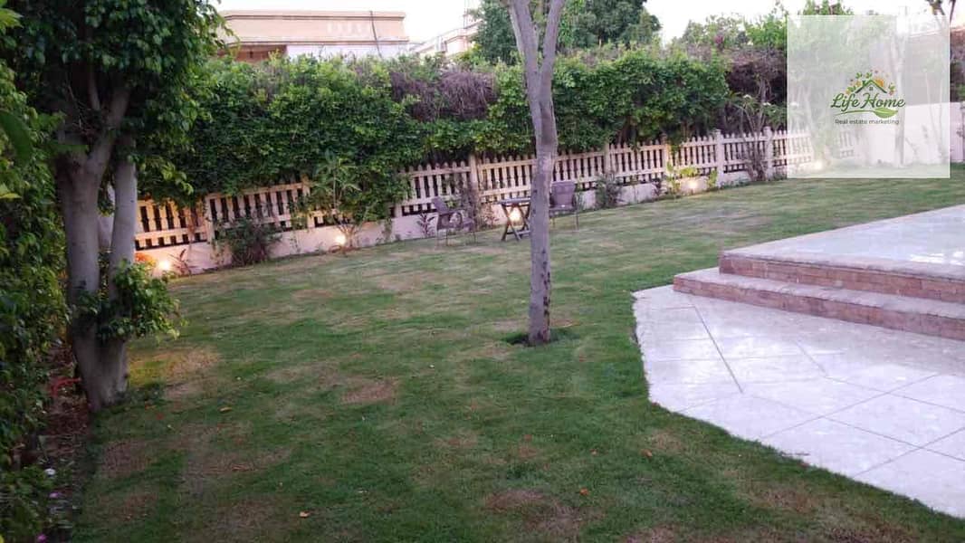 5 88bf9f8c-d664-4b6c-97e2-8a3112315cc9. jpg