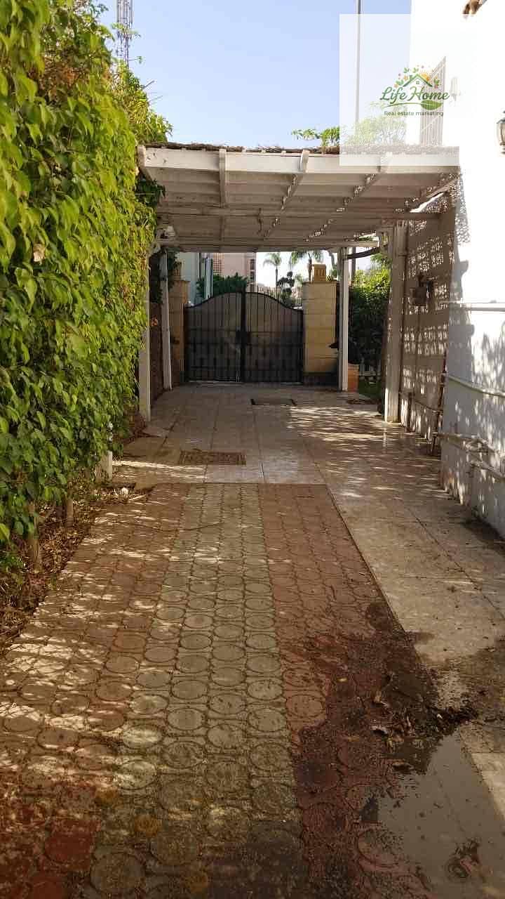 14 458ec634-10f8-4c5c-b8af-b58269ee0635. jpg