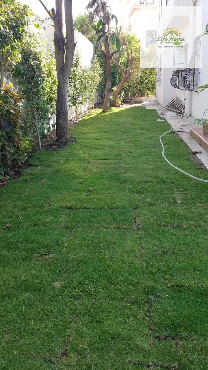 21 bc6503c3-bd35-43fc-9b2a-23e761352526. jpg