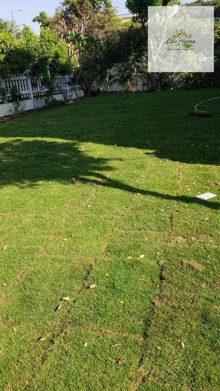 23 c8567616-ad7e-456b-a523-0dac1efee20e. jpg