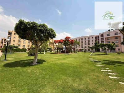 2 Bedroom Flat for Rent in New Cairo, Cairo - 1001222290. jpg