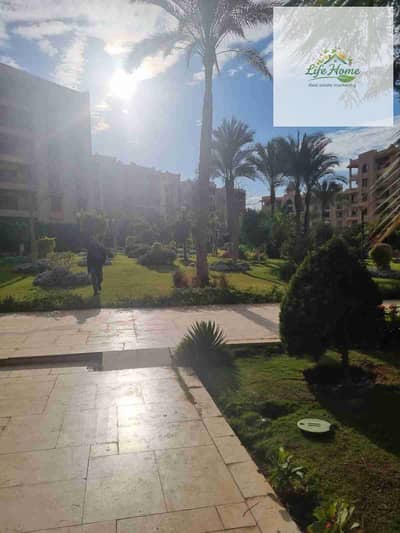 فلیٹ 3 غرف نوم للايجار في القاهرة الجديدة، القاهرة - 1000502563. jpg