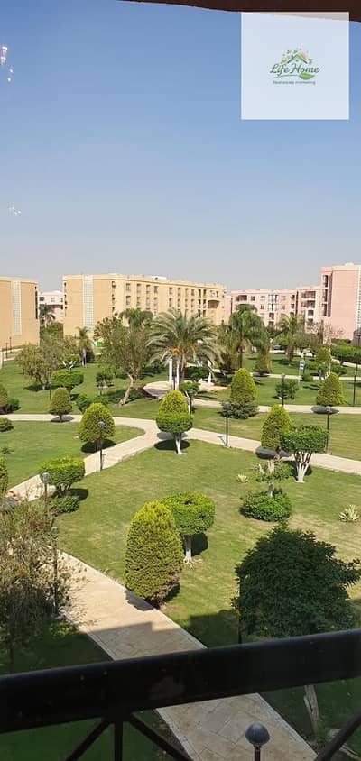 3 Bedroom Flat for Rent in New Cairo, Cairo - WhatsApp Image 2026-01-20 at 4.03. 36 PM. jpeg