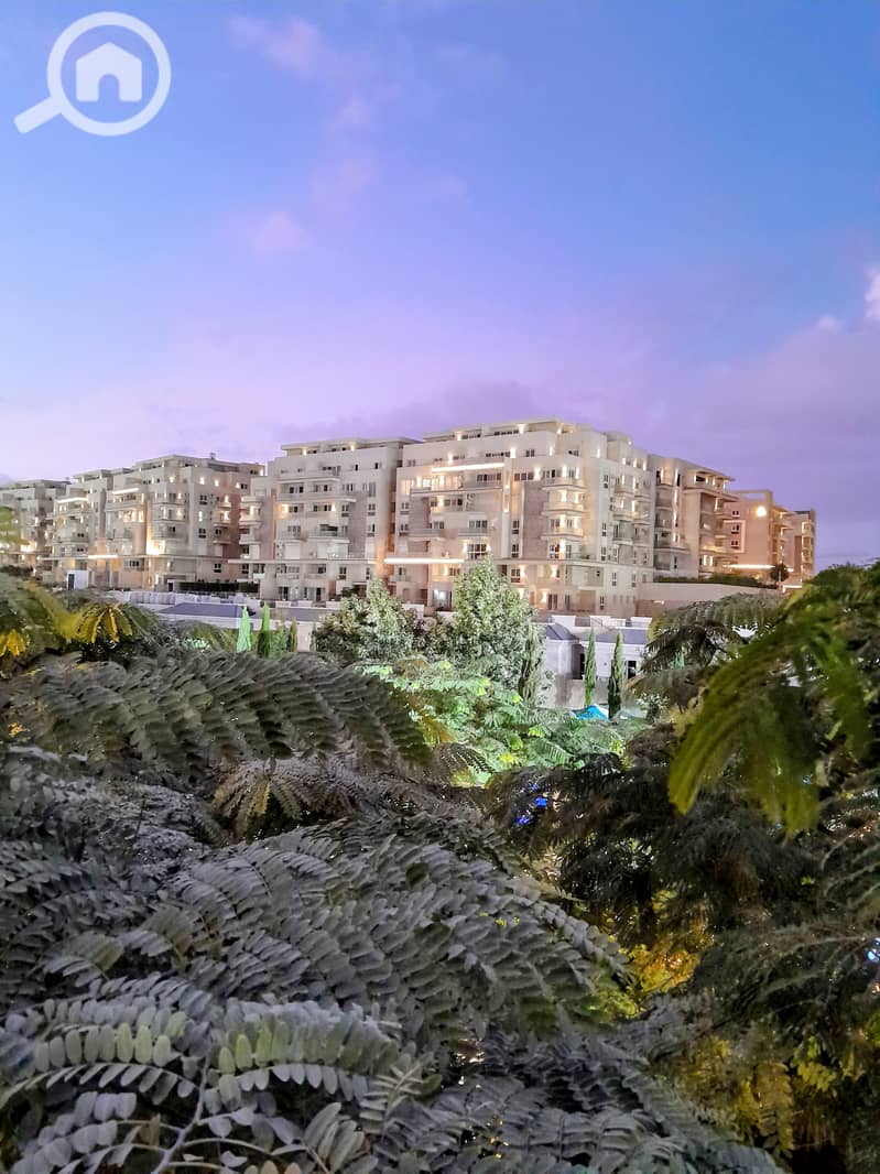 7 IMG-20251230-WA0083~2. jpg