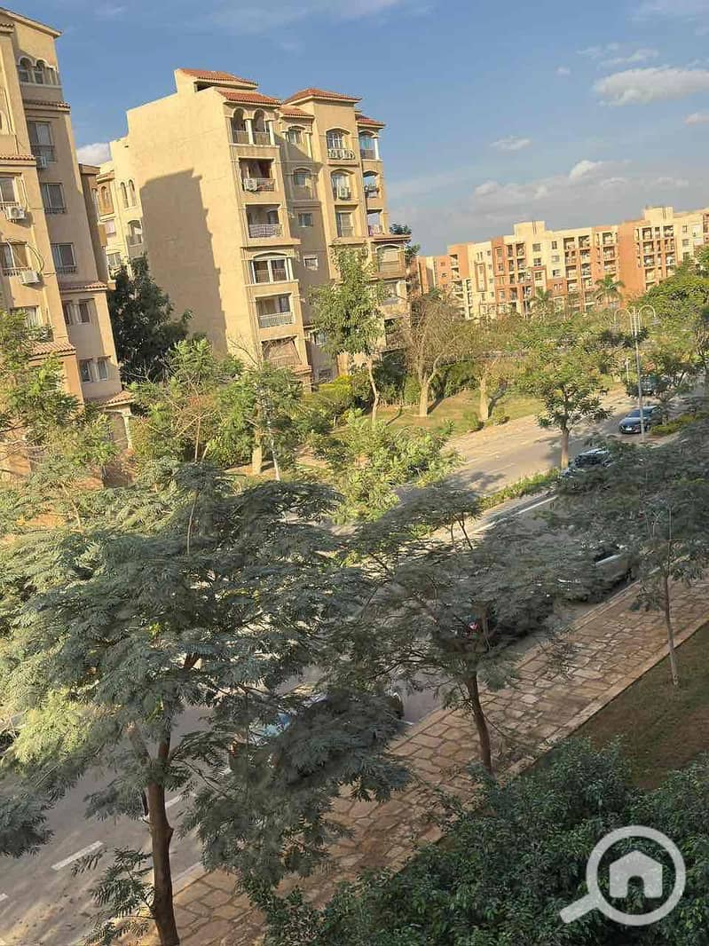 15 add9ac75-7b69-44fd-90ca-7edb22891144. jpg